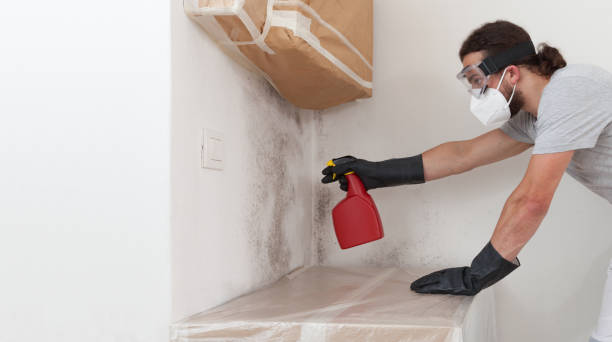 Professional Attic Mold Removal technician working in Springs, NY